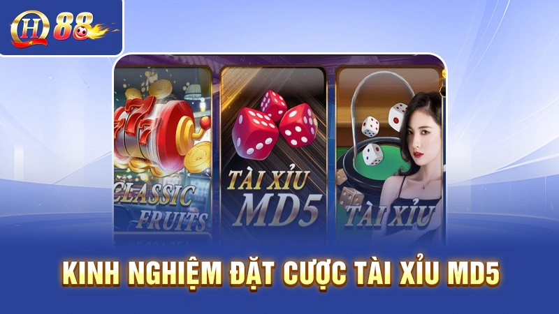 Kinh nghiệm chơi tài xỉu MD5